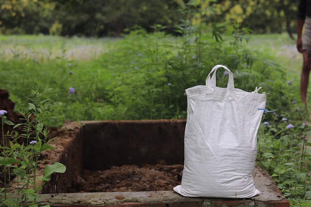 Il compost come strumento per rendere possibile l'azione dell'erba medica - immagine gaonkisan @Pixabay