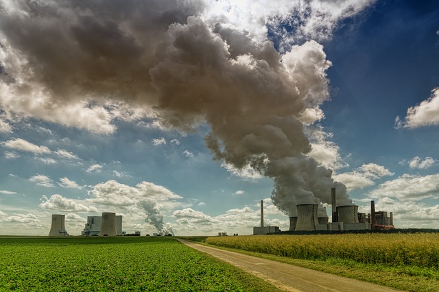 La centrale termoelettrica a carbone come teatro di una utile soluzione naturale - immagine jplenio @Pixabay