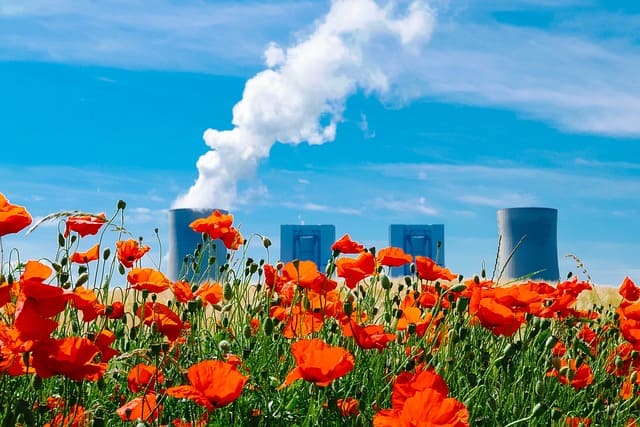 La centrale termoelettrica a carbone è  un importante banco di prova per le soluzioni naturali ed ecologiche - immagine CapeCom @Pixabay